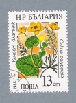 Sellos de Europa - Bulgaria -  Flores