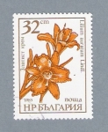 Stamps Bulgaria -  Flor