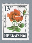 Stamps Bulgaria -  Rosa roja