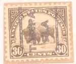 Stamps United States -  bufalo