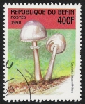 Stamps Benin -  SETAS-HONGOS: 1.114.036,00-Lepiota leucothites