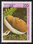 Sellos del Mundo : Africa : Guinea : SETAS-HONGOS: 1.160.041,00-Chestnut