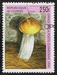 Sellos de Africa - Guinea -  SETAS-HONGOS: 1.160.042,00-Granular