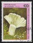 Stamps Guinea -  SETAS-HONGOS: 1.160.044,00-Milky blue