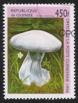 Sellos de Africa - Guinea -  SETAS-HONGOS: 1.160.045,00-Violet cortinarius