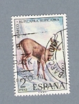 Stamps Spain -  Rebeco (repetido)
