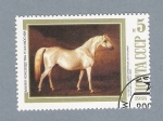 Stamps Russia -  Caballo de Rusia