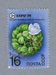 Stamps : Europe : Russia :  Flora