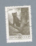 Stamps Russia -  Animal salvaje