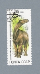 Stamps Russia -  Dinosaurio
