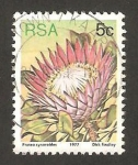 Sellos del Mundo : Africa : Sudfrica : flor protea cynaroides, protea rey