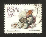 Sellos del Mundo : Africa : Sudfrica : flora, dinteranthus wilmotianus