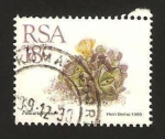 Stamps South Africa -   flora, faucaria tigrina