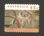 Stamps : Oceania : Australia :  un koala