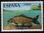 Stamps Spain -  2406 Fauna Hispánica. Carpa.