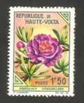 Stamps Burkina Faso -  flora, portulaga grandiflora