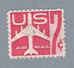 Sellos de America - Estados Unidos -  Airl Mail