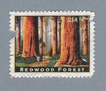 Sellos de America - Estados Unidos -  Redwood Forest