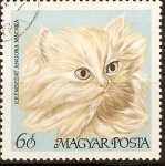 Stamps Hungary -  GATO  DOMÉSTICO