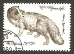 Stamps Russia -  4707 - fauna