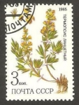 Stamps : Europe : Russia :  flor