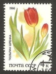 Stamps Russia -  Flor