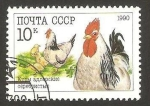 Stamps Russia -  Gallinas