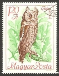 Stamps Hungary -  un búho