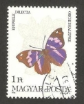 Sellos de Europa - Hungr�a -  2911 - Mariposa epiphile dilecta