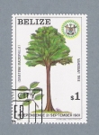 Stamps : America : Belize :  Dia de la Independencia