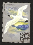 Stamps Russia -  fauna de la Antártida