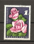 Stamps : Europe : Hungary :  15 Exposicion nacional de rosas.