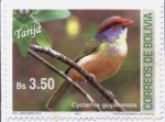Stamps : America : Bolivia :  Aves de Bolivia - Tarija