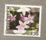 Sellos de Europa - Suiza -  Flores medicinales