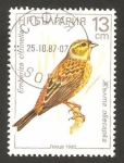 Stamps : Europe : Bulgaria :  ave, emberiza citrinella