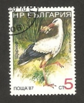 Stamps : Europe : Bulgaria :  ave, ciconia ciconia