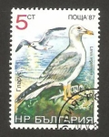 Stamps Bulgaria -  ave, larus argentatus
