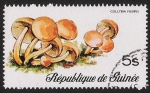 Stamps Guinea -  SETAS-HONGOS: 1.160.001,00-Collybia fusipes