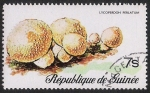 Stamps Guinea -  SETAS-HONGOS: 1.160.002,00-Lycoperdon perlatum