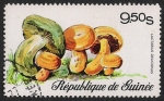 Stamps Guinea -  SETAS-HONGOS: 1.160.004,00-Lactarius deliciosus