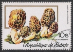 Stamps Guinea -  SETAS-HONGOS: 1.160.006,00-Morchella esculenta