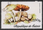 Stamps Guinea -  SETAS-HONGOS: 1.160.005,00-Agaricus campestris