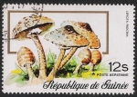 Stamps Guinea -  SETAS-HONGOS: 1.160.007,00-Lepiota procera