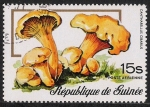 Stamps Guinea -  SETAS-HONGOS: 1.160.008,00-Cantharellus cibarius