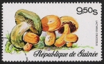 Stamps : Africa : Guinea :  SETAS-HONGOS: 1.160.004,01-Lactarius deliciosus -Phil.183802-Dm.977.4-Y&T.579-Mch.762-Sc.727