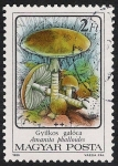 Stamps : Europe : Hungary :  SETAS-HONGOS: 1.164.011,03-Amanita phalloides -Phil.47542-Dm.986.72-Y&T.3081-Mch.3871-Sc.3046