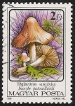 Stamps Hungary -  SETAS-HONGOS: 1.164.013,04-Inocybe patouillardii -Phil.53461-Dm.986.74-Y&T.3083-Mch.3873-Sc.3048