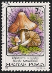 Sellos de Europa - Hungra -  SETAS-HONGOS: 1.164.013,04-Inocybe patouillardii -Phil.53461-Dm.986.74-Y&T.3083-Mch.3873-Sc.3048