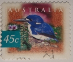 Sellos de Oceania - Australia -  Little kingfisher