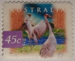 Stamps : Oceania : Australia :  Brolga